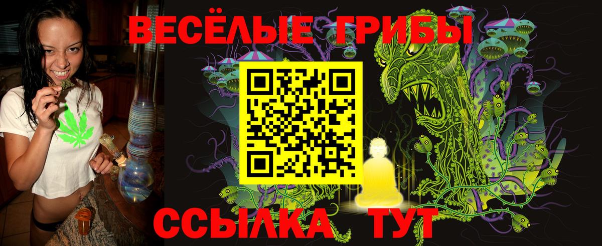 Псилоцибиновые грибы мухоморы Артёмовский