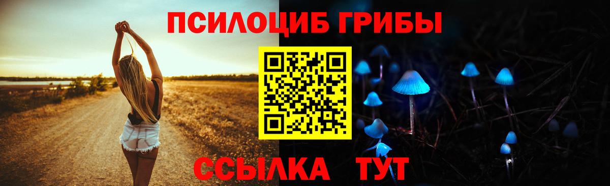 Галлюциногенные грибы мицелий  Псилоцибиновые грибы GOLDEN TEACHER  Вход с VPN  Артёмовский 